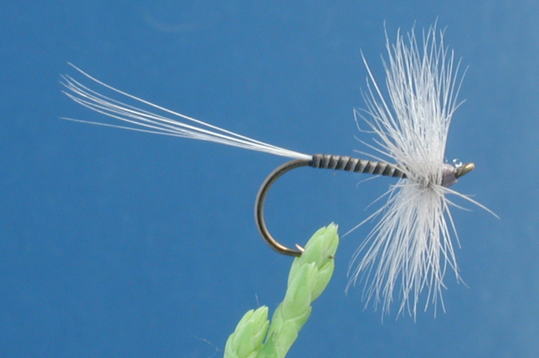 Blue Quill Fly Fishing Flies with Fish4Flies Worldwide